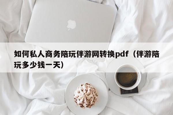 珠海如何私人商务陪玩伴游网转换pdf（伴游陪玩多少钱一天）