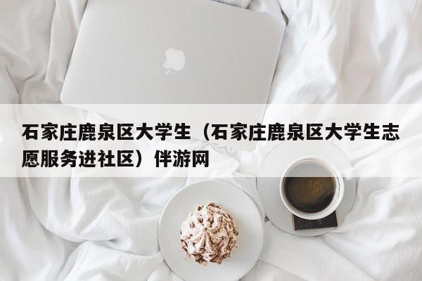 南京石家庄鹿泉区大学生（石家庄鹿泉区大学生志愿服务进社区）伴游网