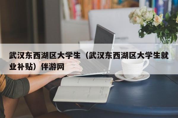 温州武汉东西湖区大学生（武汉东西湖区大学生就业补贴）伴游网