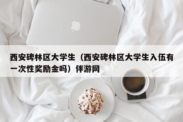 宁波西安碑林区大学生（西安碑林区大学生入伍有一次性奖励金吗）伴游网