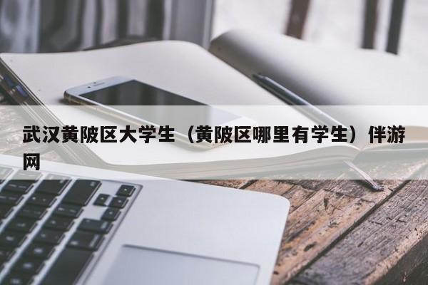 海口武汉黄陂区大学生（黄陂区哪里有学生）伴游网