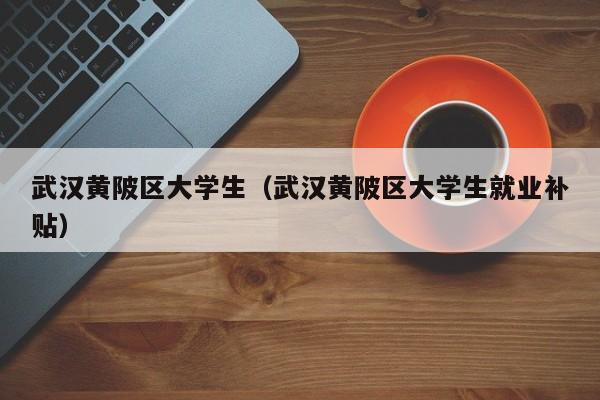 深圳武汉黄陂区大学生（武汉黄陂区大学生就业补贴）