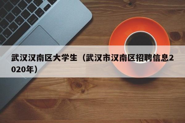 石家庄武汉汉南区大学生（武汉市汉南区招聘信息2020年）